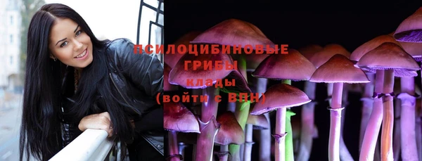 хмурый Инта