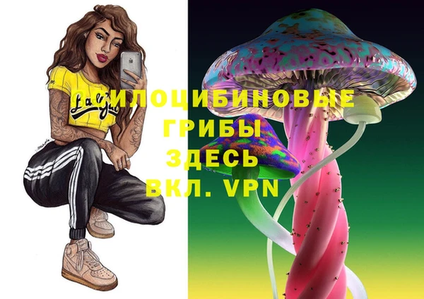 хмурый Инта