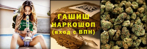 spice Инсар
