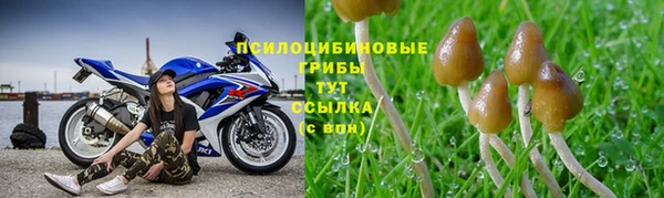 spice Инсар